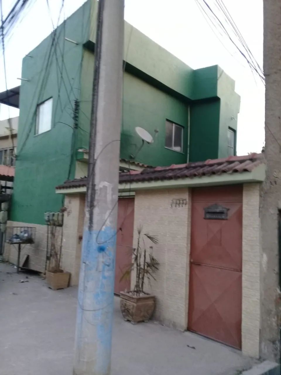 Foto - São Gonçalo - Galo Branco