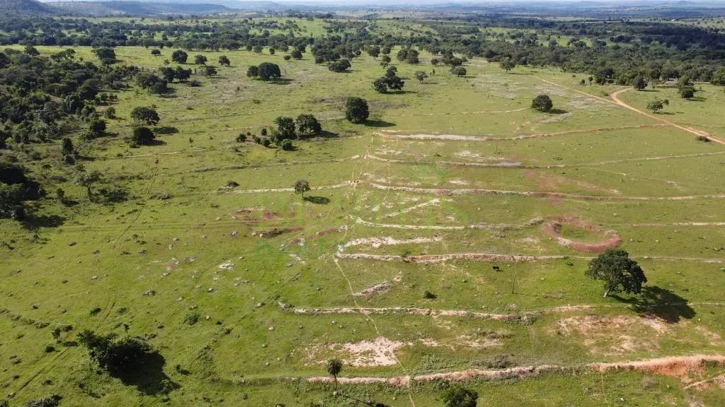 Fazenda à venda em Ivolândia, Imóvel Rural, com 2 quartos, com 387.2 hectares - Foto 3