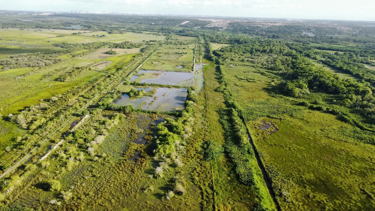 fazenda com 49.7 hectares na grande natal próximo a Extremoz localizada na região de cear