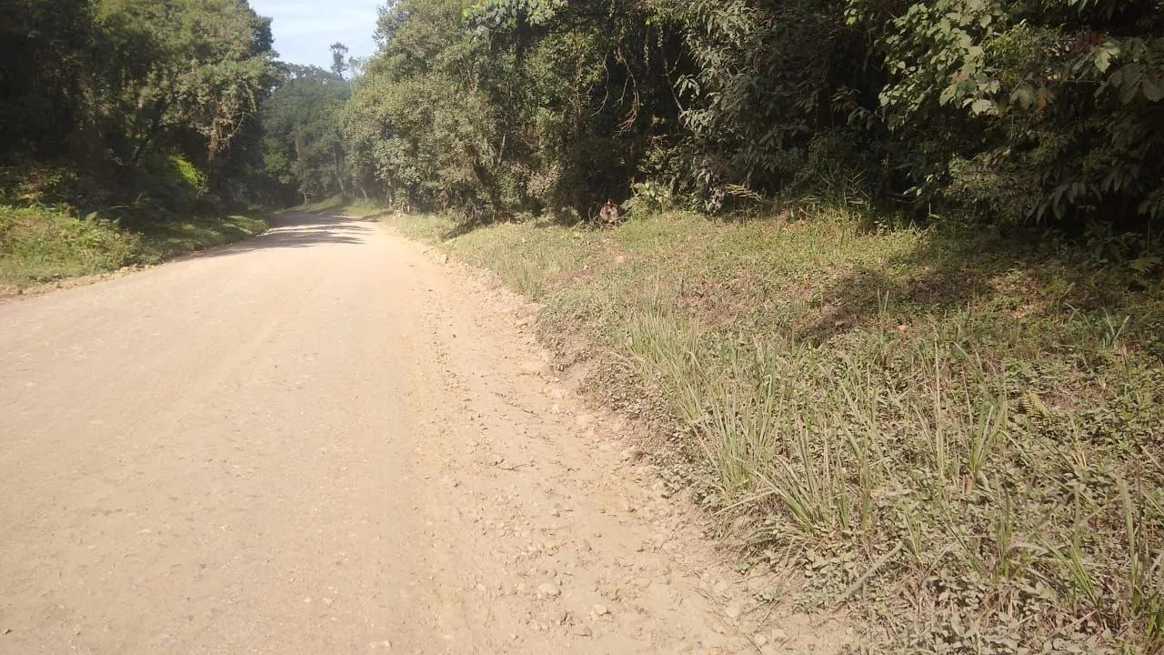Chácara a venda em Antonina