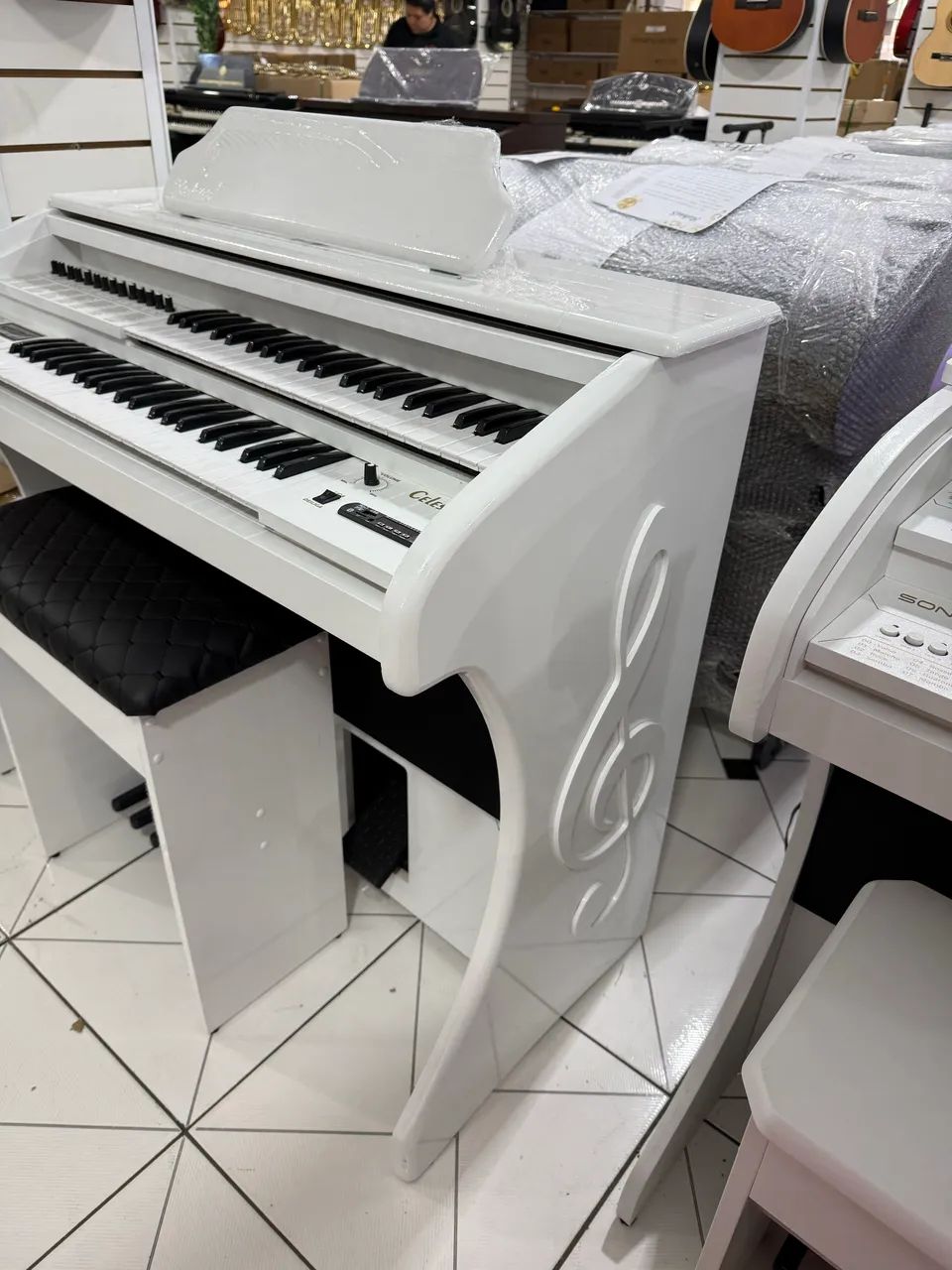 Órgão Eletrônico Rohnes Celestion Plus