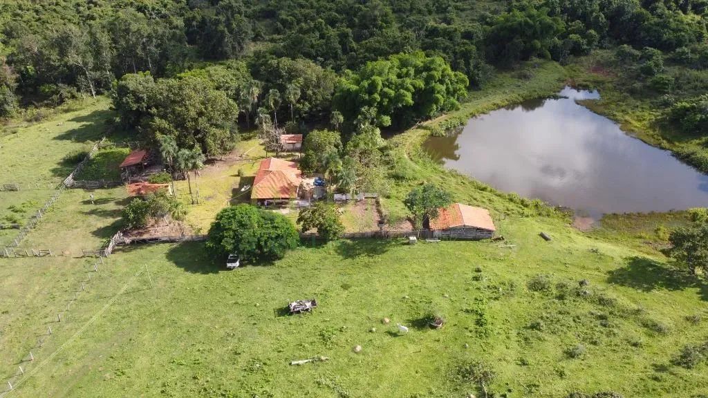 Fazenda à venda em Ivolândia, Imóvel Rural, com 2 quartos, com 387.2 hectares - Foto 2