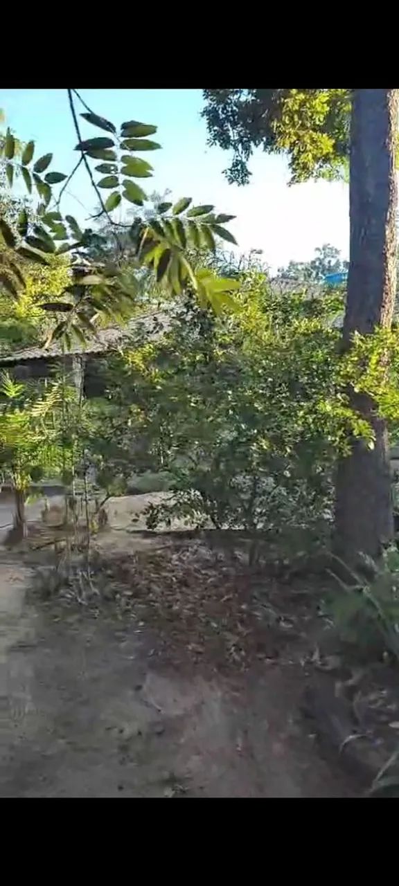 CASA NO ARAGUAIA (ITACAIU) - Foto 5