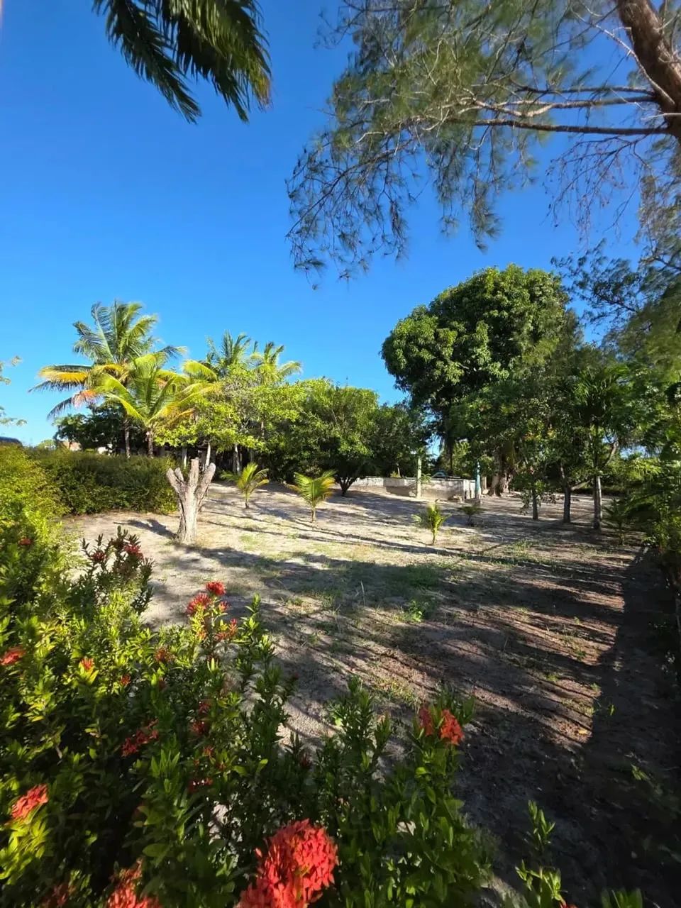 Sítio em Aquiraz com vista para o Lago - Foto 6