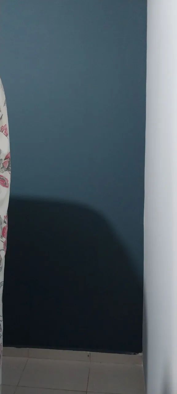 Sou pintor profissional 