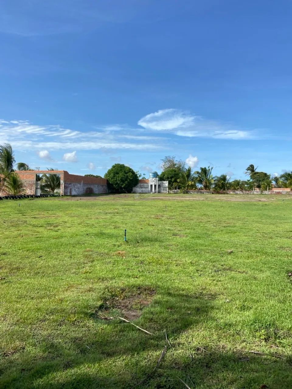 Grama Esmeralda e Serviços  - Foto 3