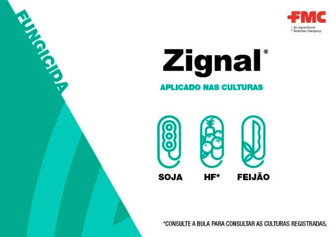 Zignal Fluazinam FMC Mofo Branco/ Sclerotinia - Foto 4
