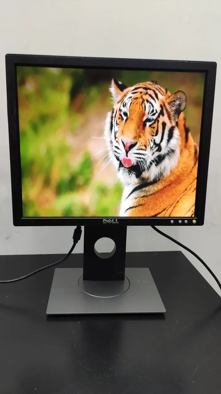 Monitor Dell Articulado, Semi Novo - Foto 2