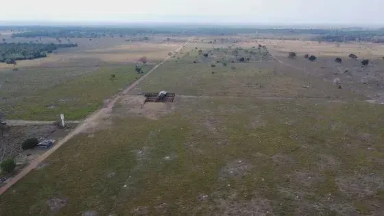 Fazenda c/ 500he c/ 296he abertos, frente pra BR, 5km de Cuiabá-MT