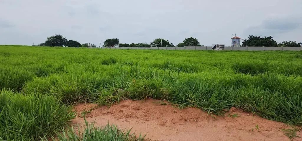 Oportunidade no Serena Campinas - terreno com 360m²