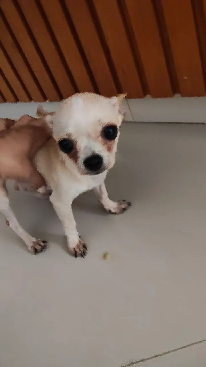 A procura de uma namorada! - Foto 3