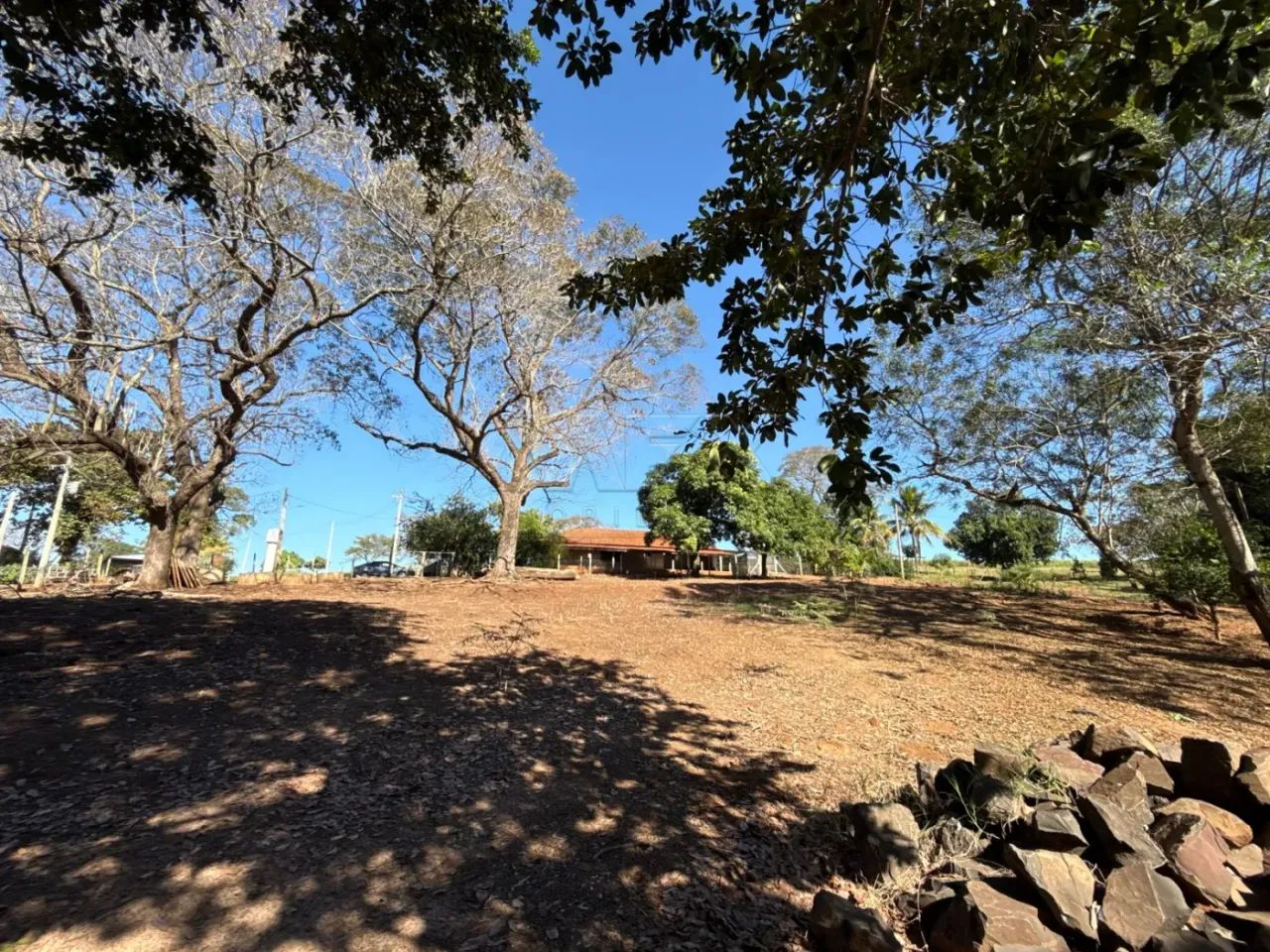 Sítio à venda - Bariri -SP - Foto 2