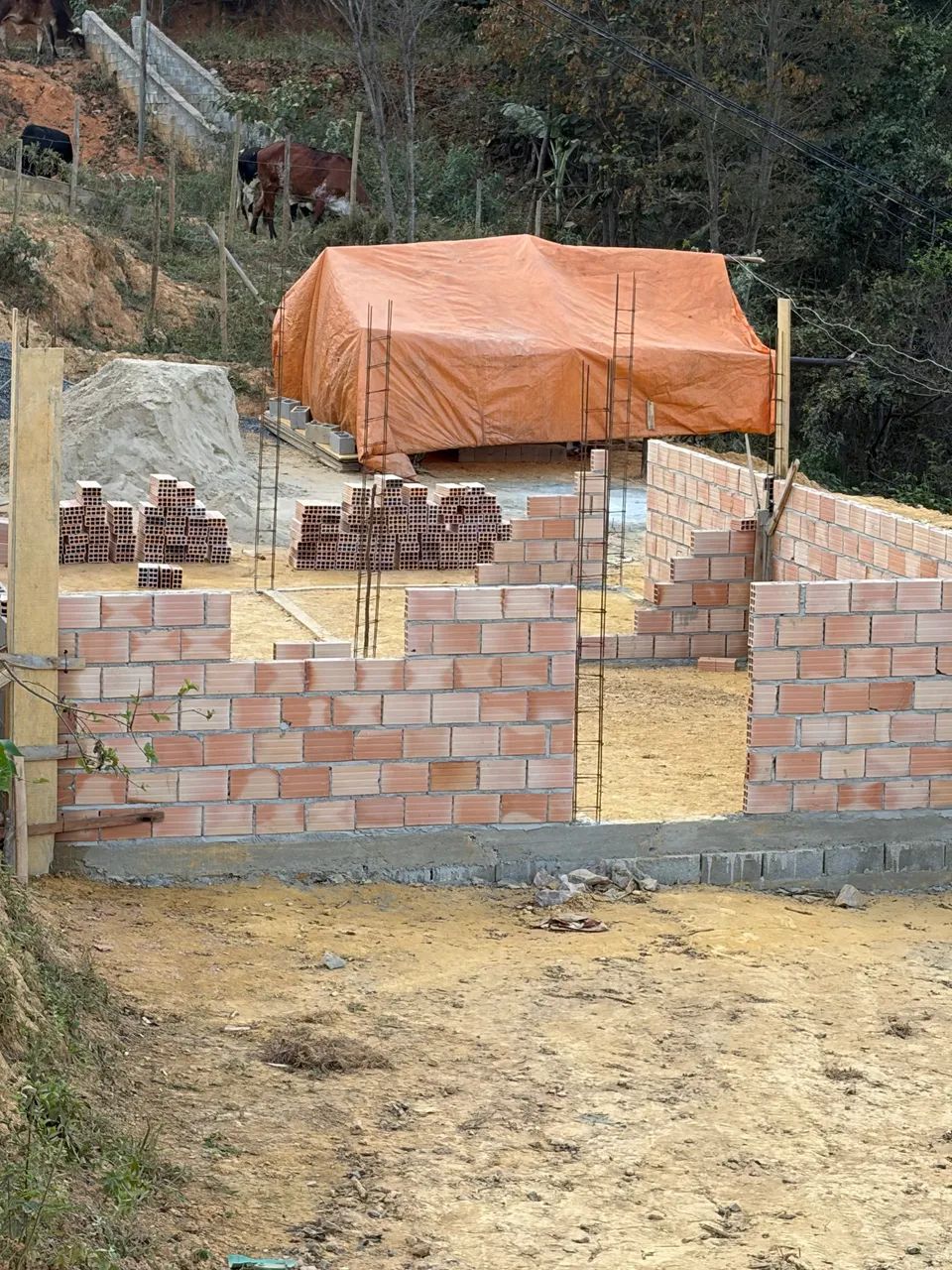 Terreno  - Foto 4