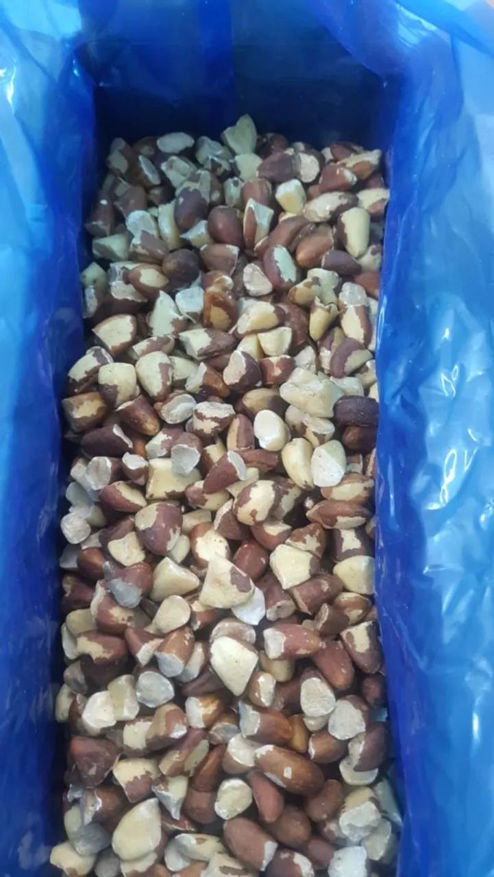 Castanhas do Pará safra de 2026  - Foto 3