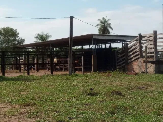 FAZENDA 242 ALQUEIRES 