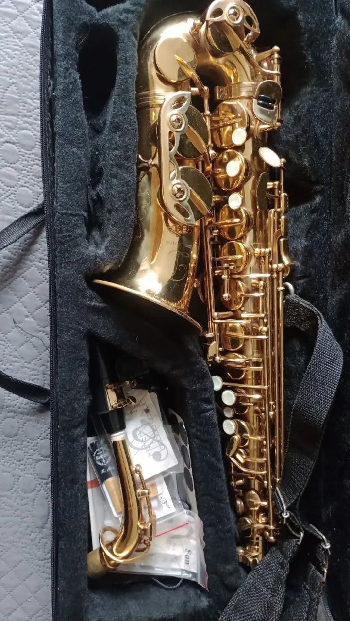 Saxofone dolphin 
