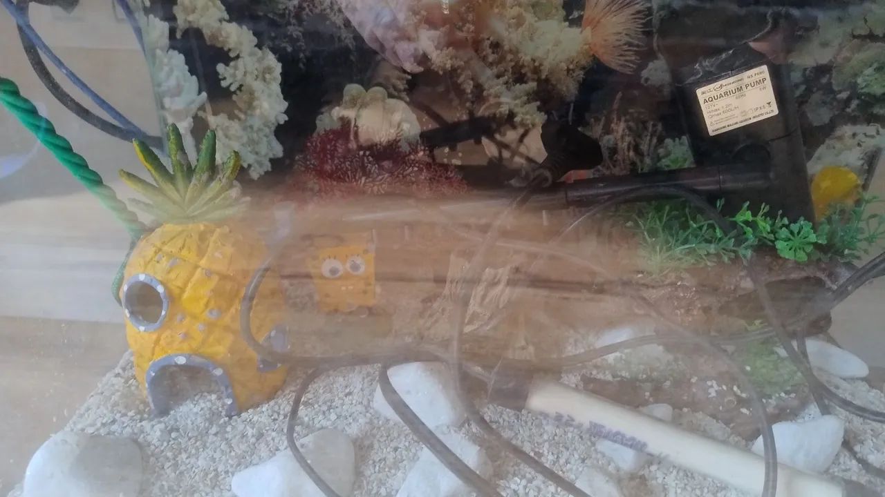 Aquário 35 litros - Foto 4