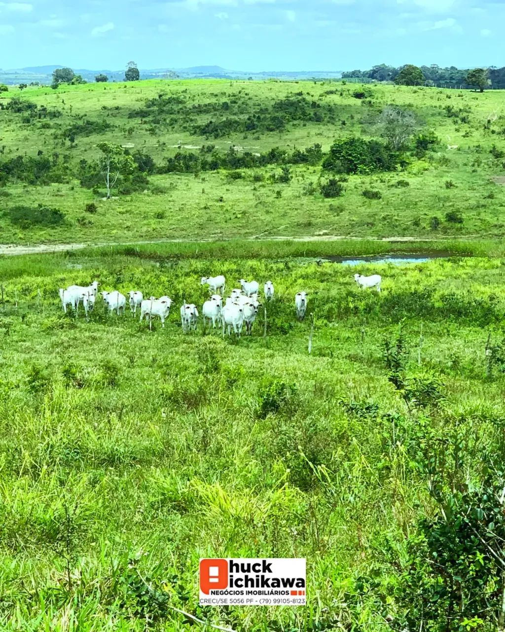 Fazenda de 100 tarefas  Boquim / Salgado - Foto 5