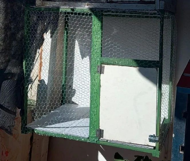 Viveiro médio  - Foto 3