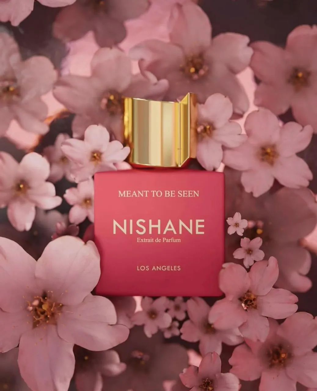 Perfume Nishane Meant To Be Seen 100 ml - Foto 3