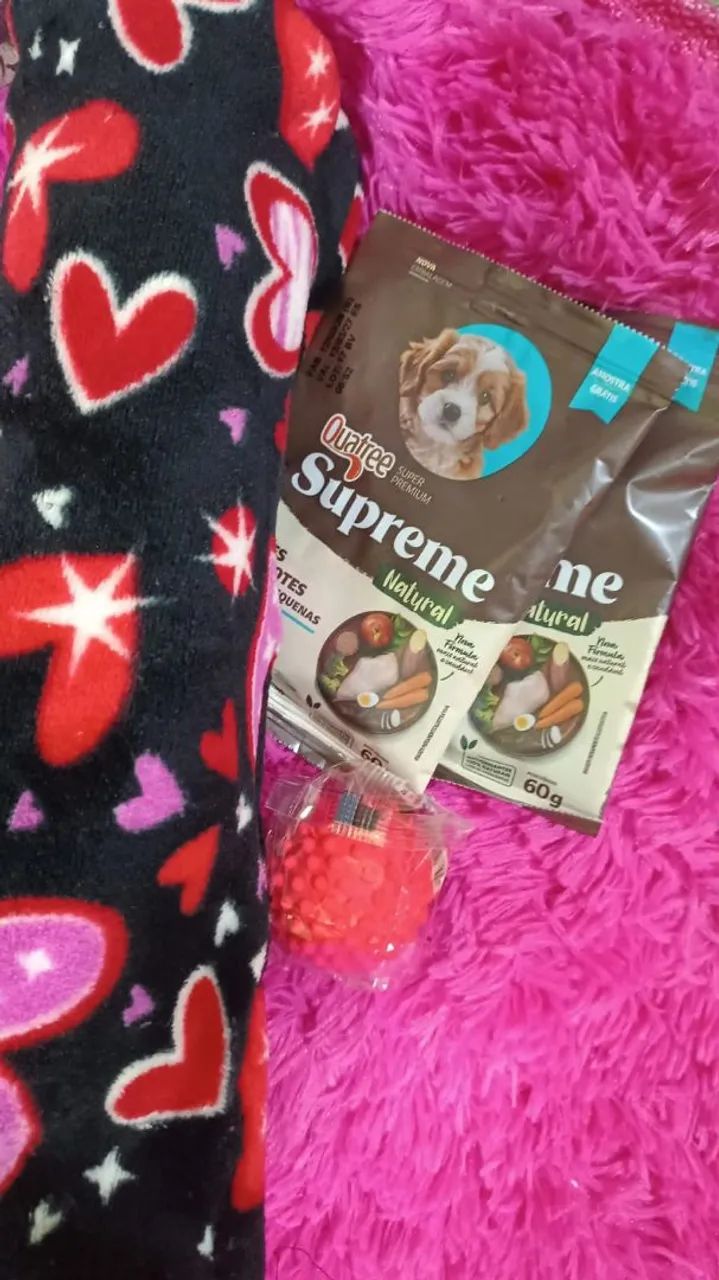 Fêmea de pinscher zero com 1  - Foto 2