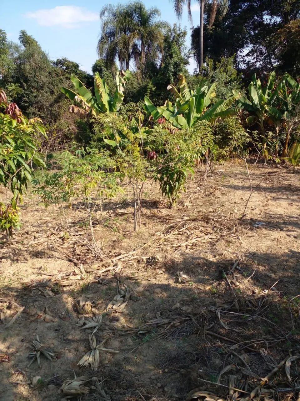 Vendo terreno de chácara  - Foto 4