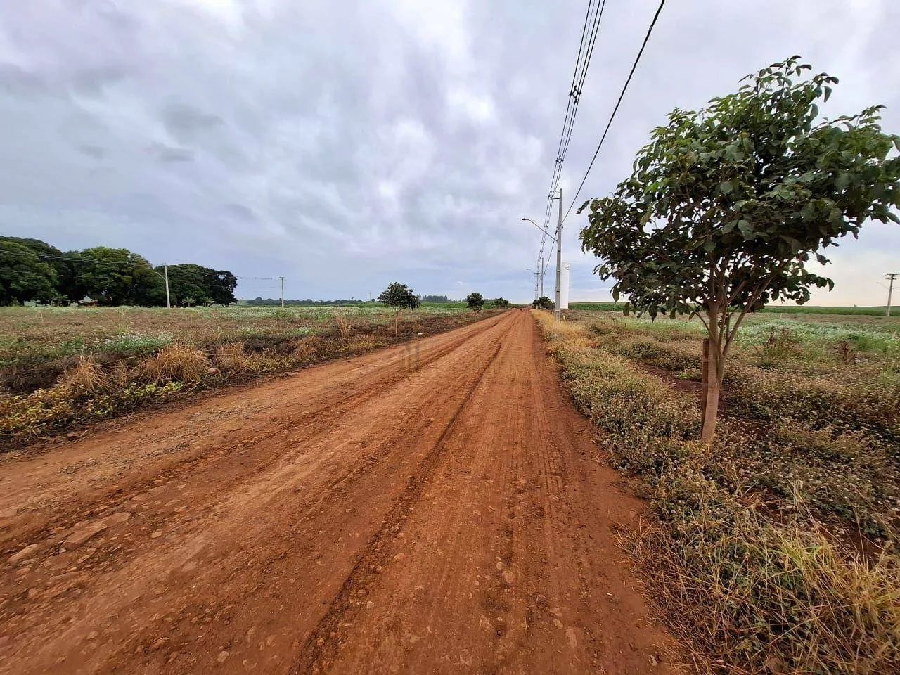 Chácara em Loteamento em Alvorada do Sul - Foto 3