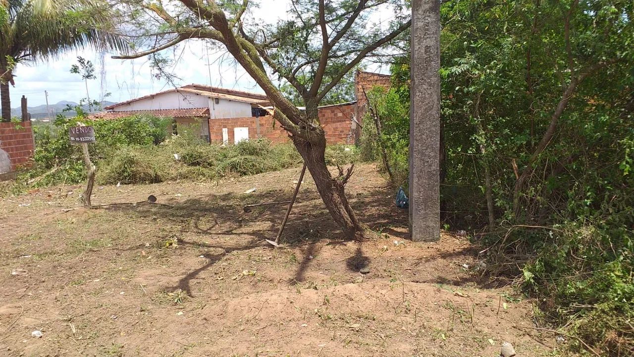 Vendo terreno  - Foto 4