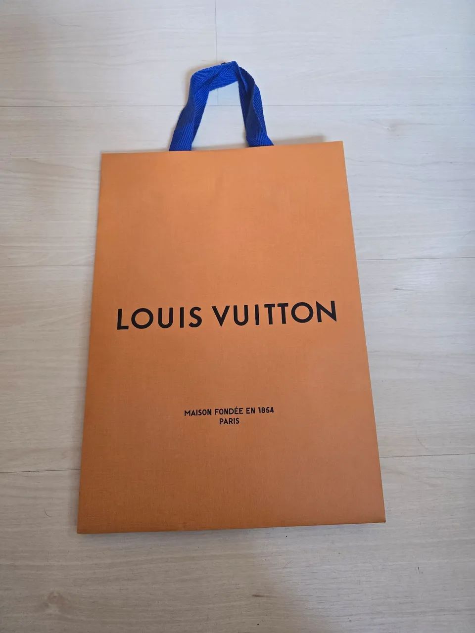 Sacola louis vuitton media - Foto 3