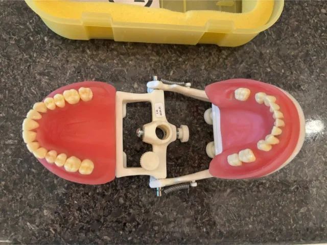 Manequim Periodontia