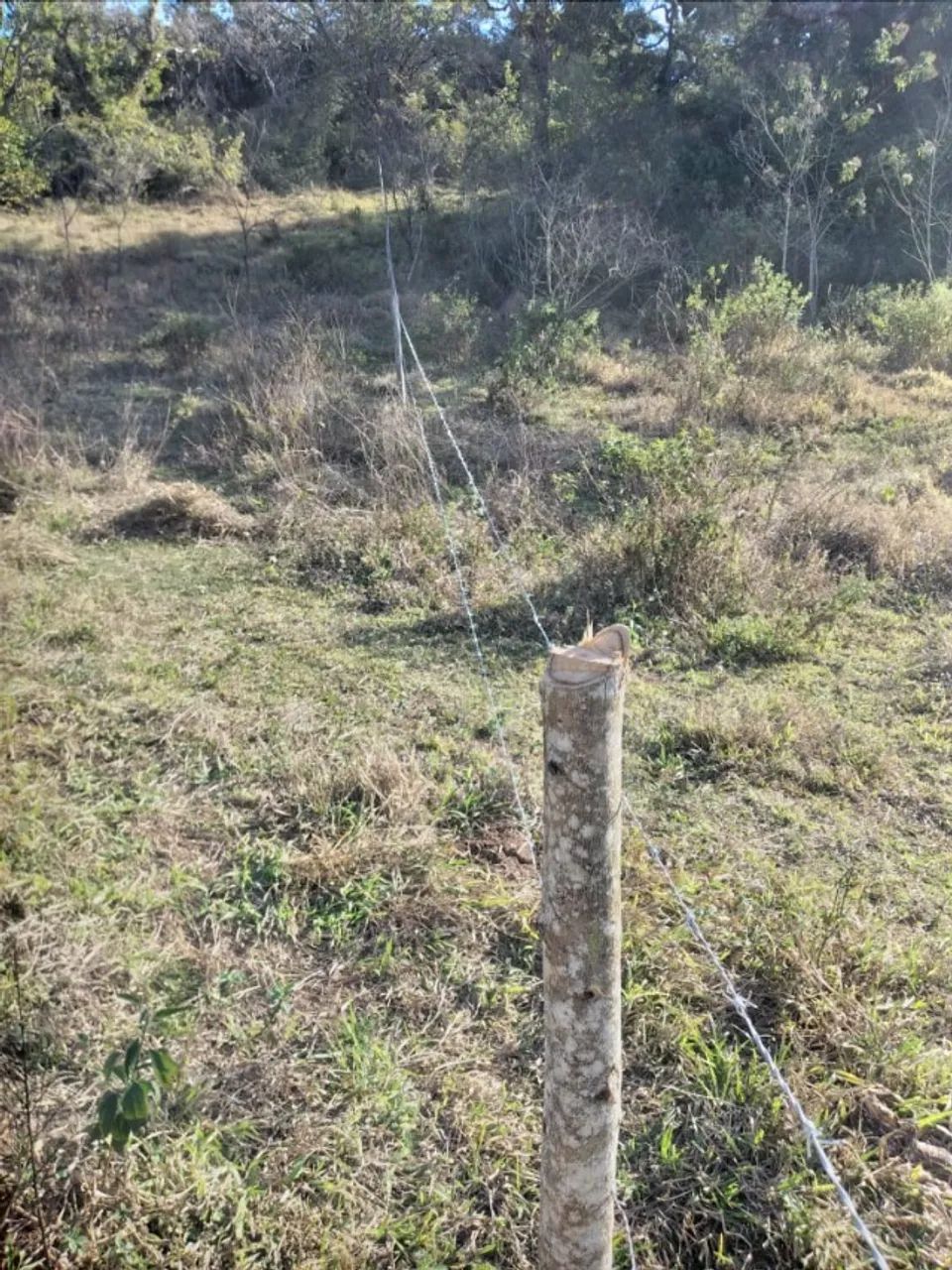 Sítio casa simples terreno com 10.000m2 - Foto 5