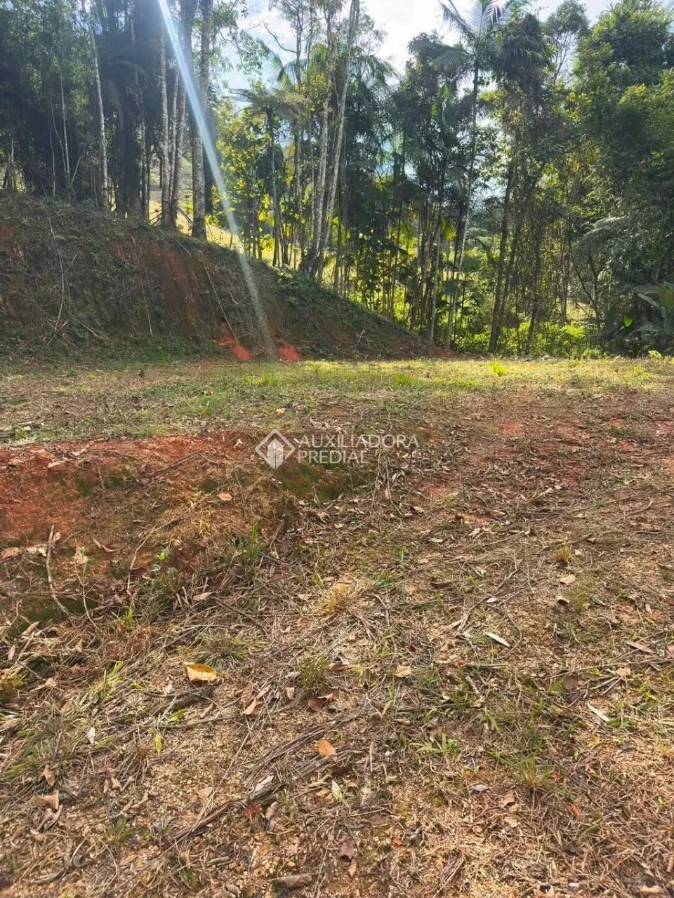 Sítio com cachoeira - Foto 5