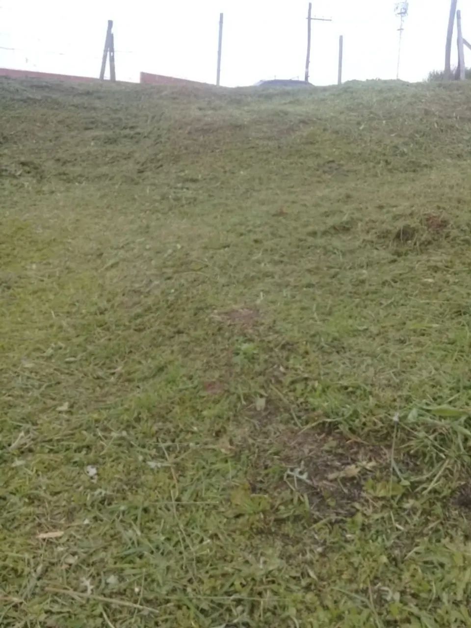 Bom lugar para morar - Foto 3