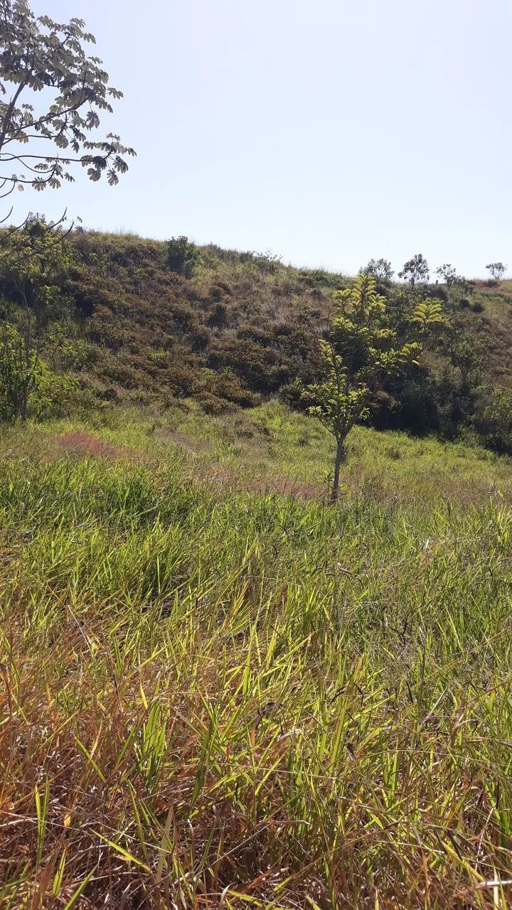 Excelente terreno em Pinheiral  - Foto 5