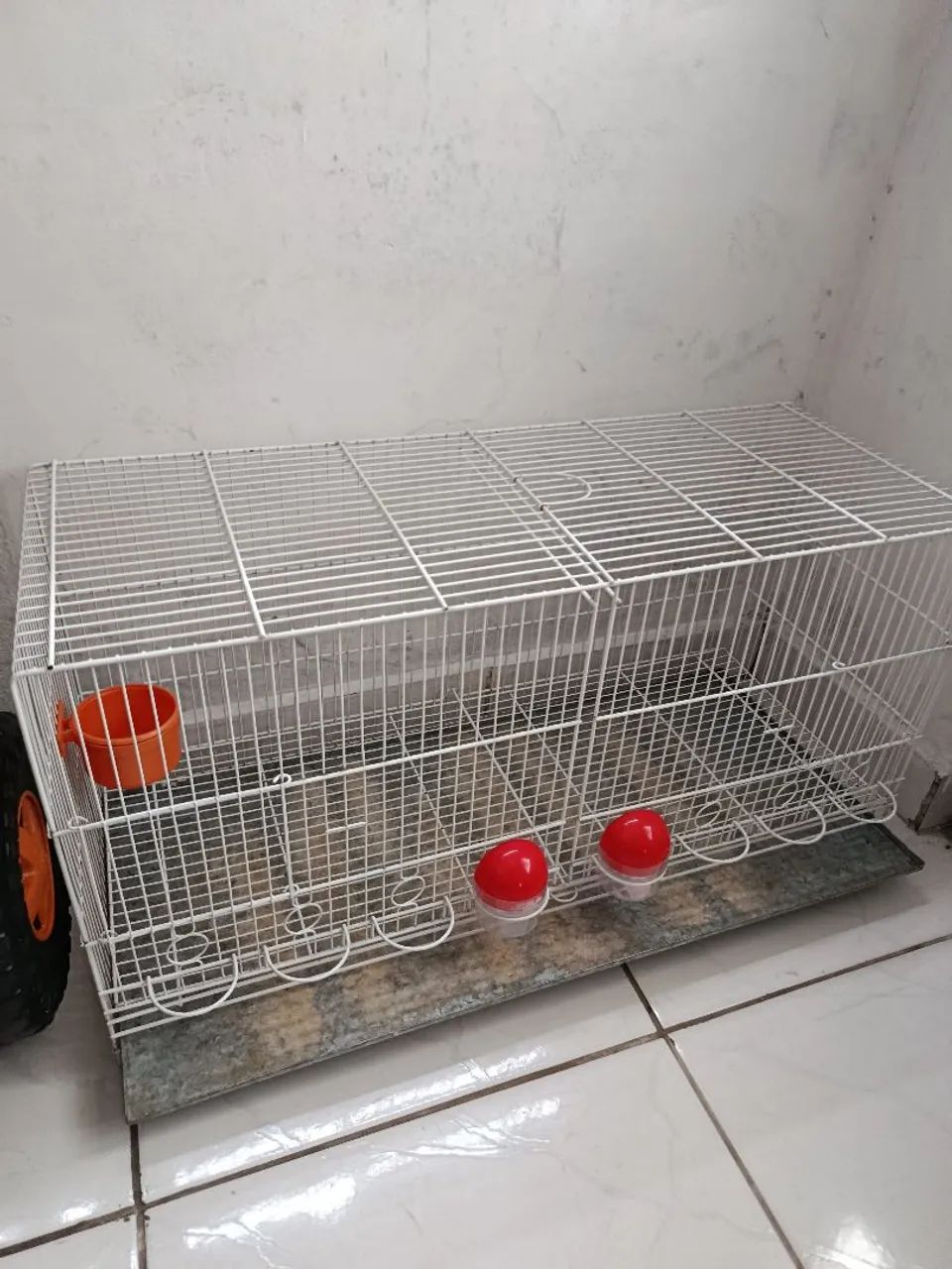 Gaiola  - Foto 3