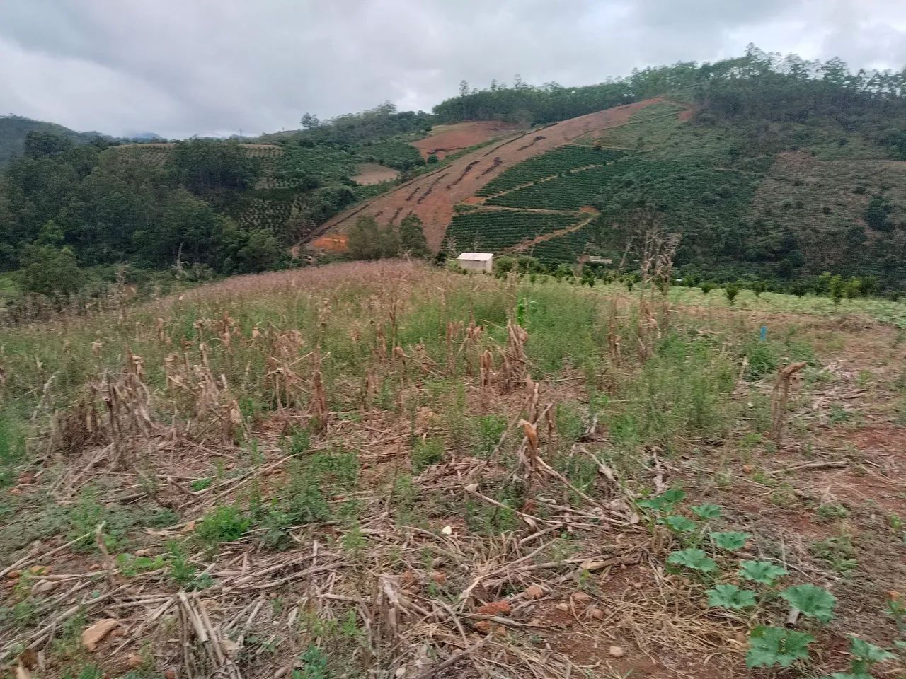Terreno em Domingos Martins. - Foto 2