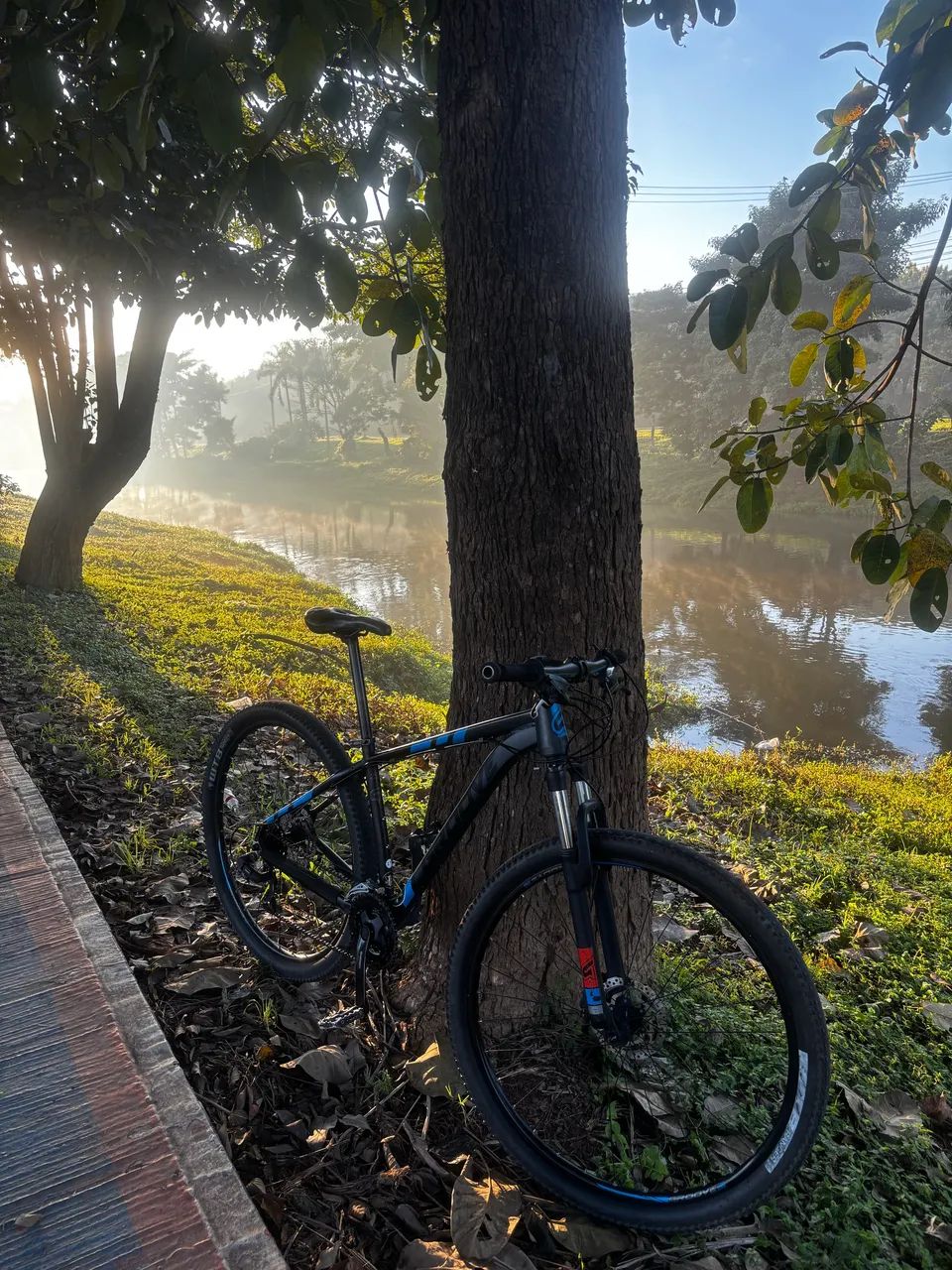Bicicleta aro 29 