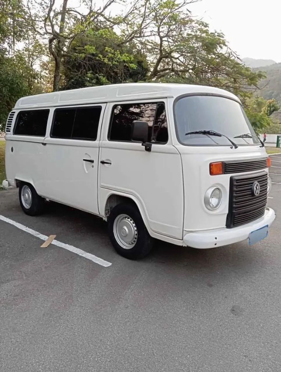 Volkswagen Kombi Kombi Lotação 1.4 Mi Total Flex 8V 2014