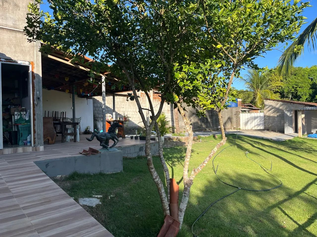 Vendo mini granja  - Foto 4