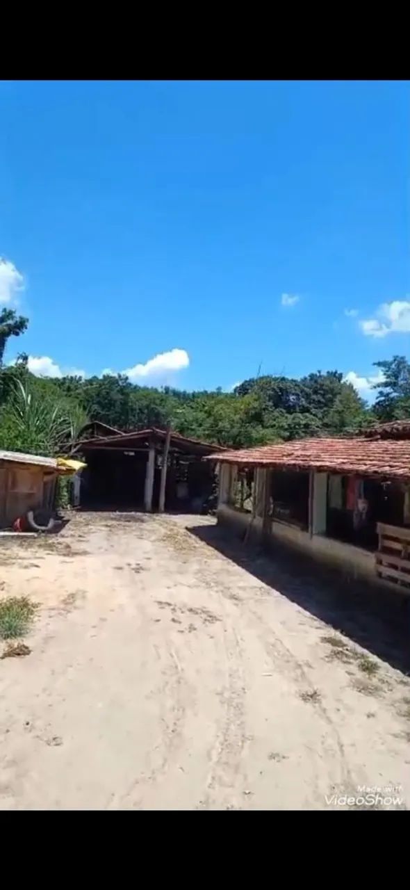 Vendo chácara no bairro dos binos conchas.  Lugar calmo e tranquilo otimo para lazer. - Foto 5