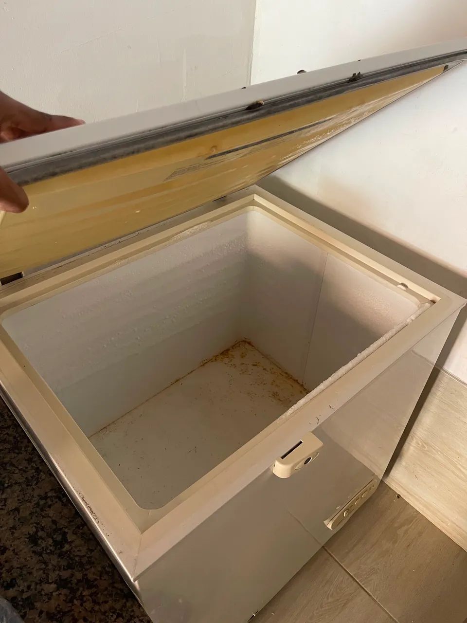 Freezer Electrolux 