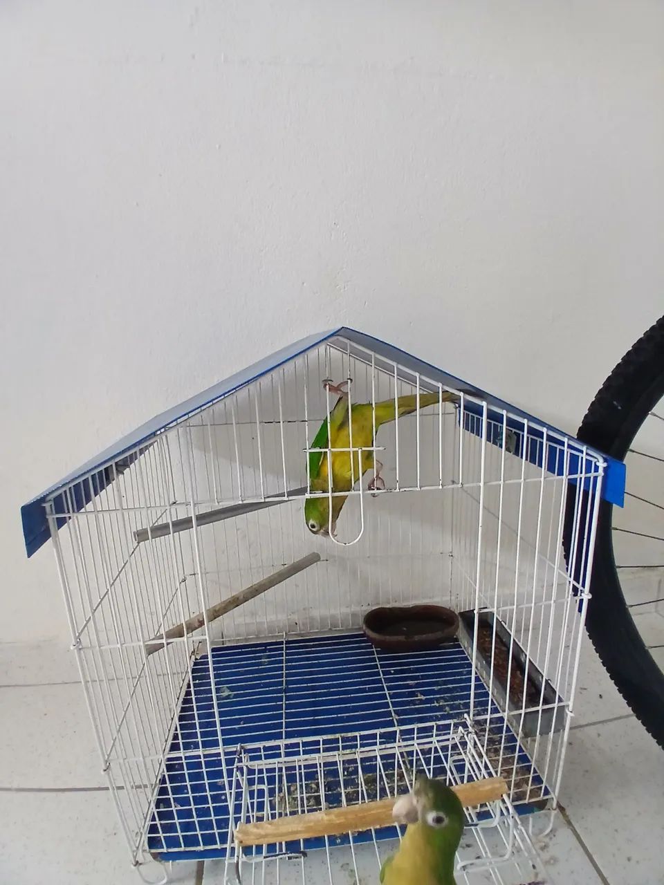 Bebedouro  - Foto 2