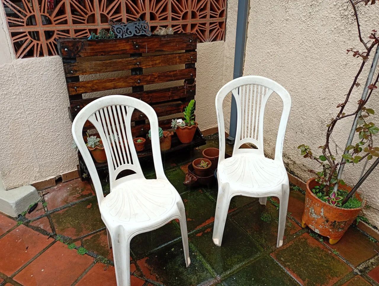 Cadeira 