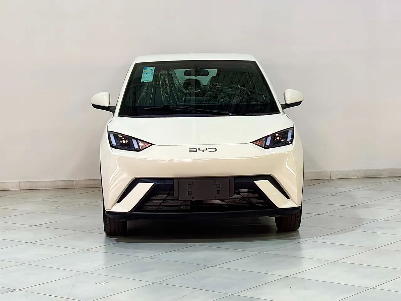 BYD Dolphin Mini (Elétrico) 2027 - Foto 2