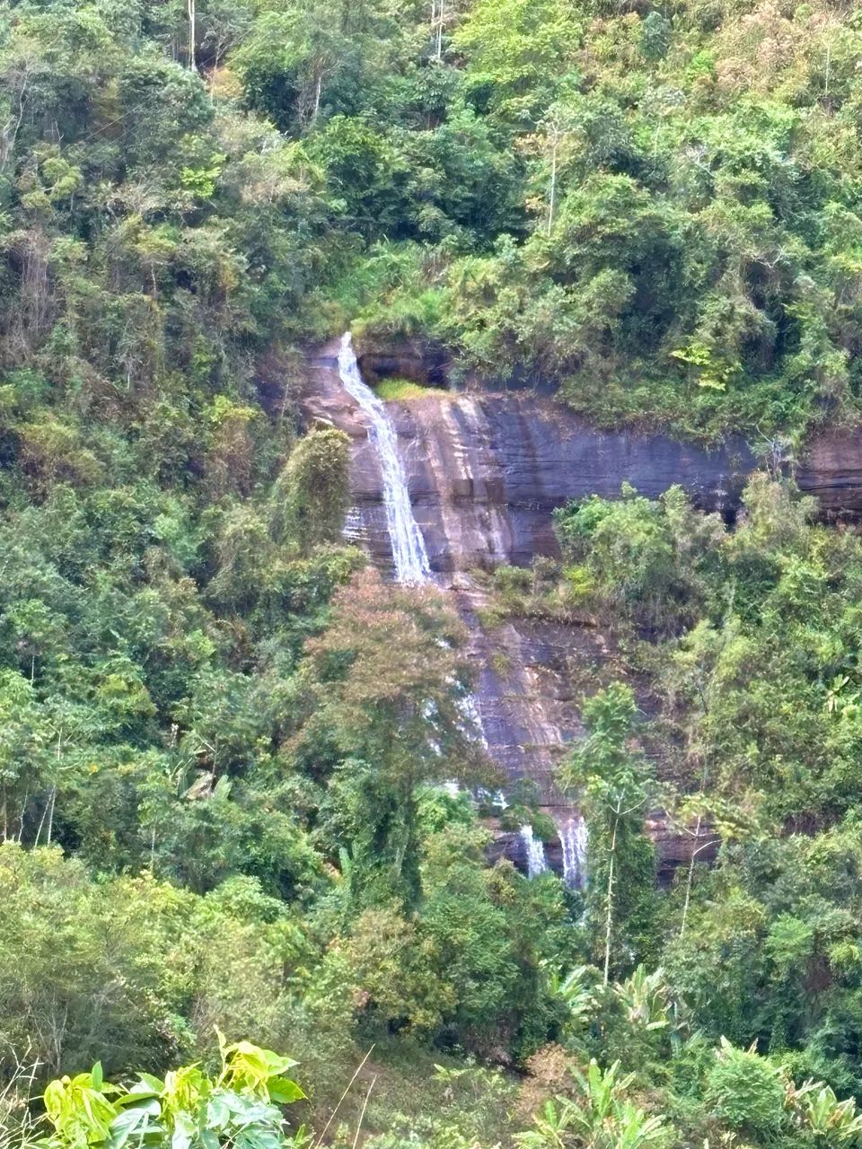 Terreno em vargem alta 