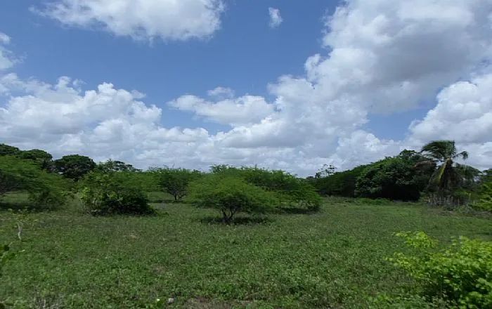 Terreno à Venda - Centro - Macaíba/RN - Foto 3