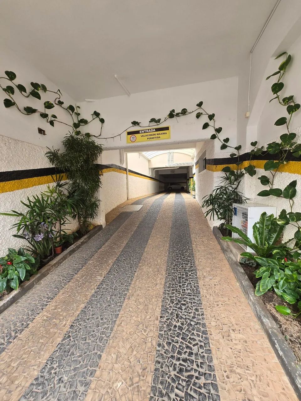 Foto - Campinas - Cambuí