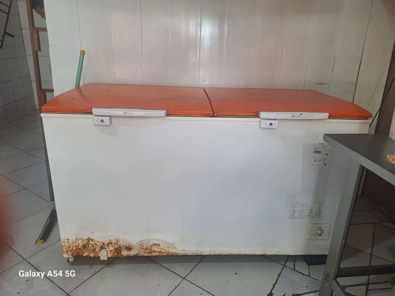 Vendo açougue completo  - Foto 4