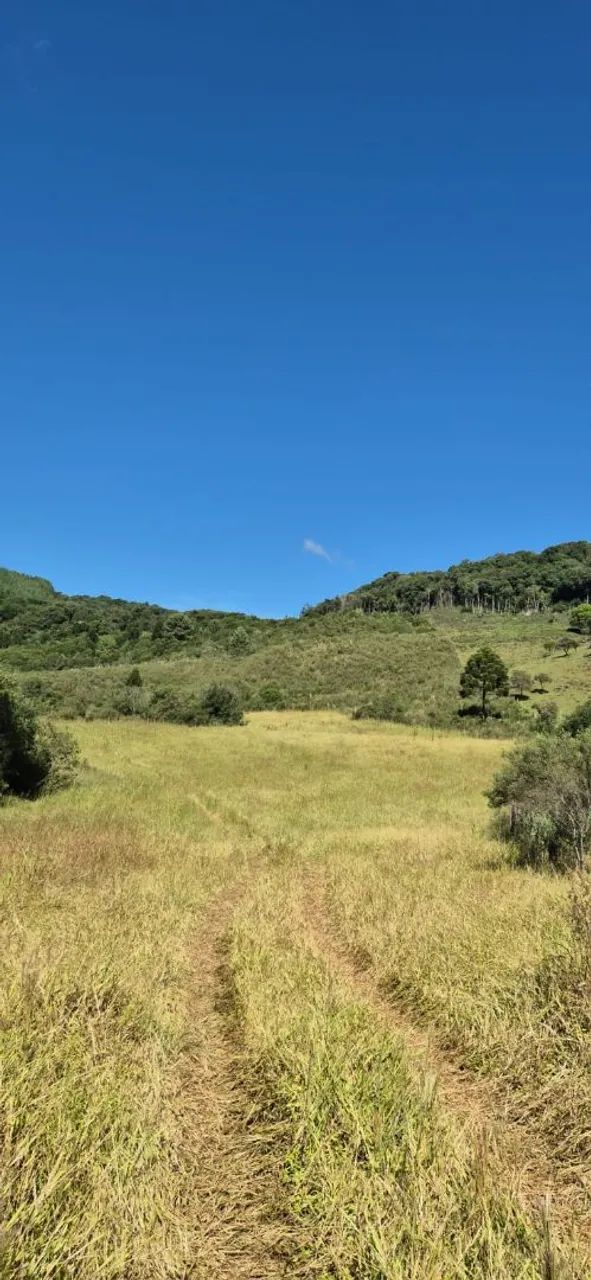 Terreno rural a venda  - Foto 2