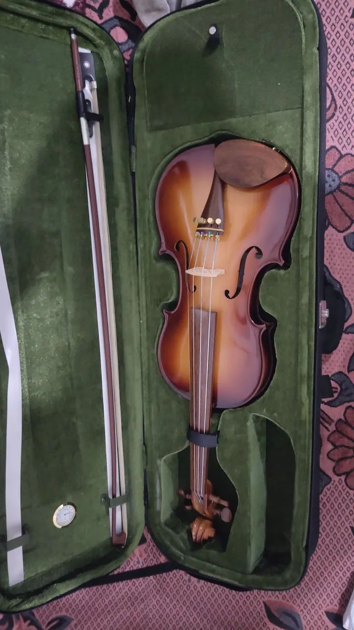 Violino Rolim 
